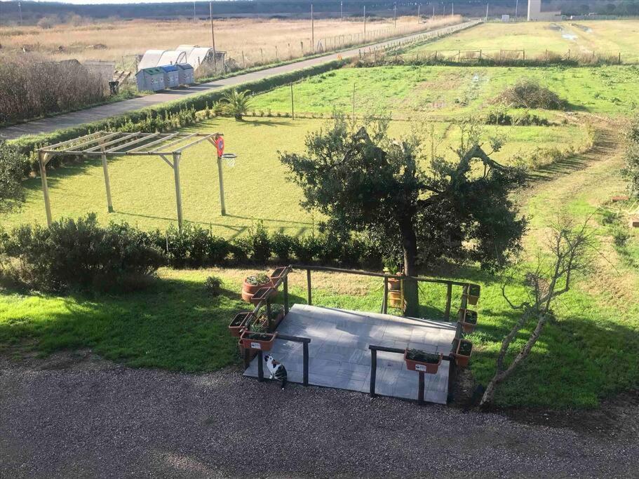 Agriturismo Il Sorbino - Appartamento Da Cocca Pian d'Alma Экстерьер фото